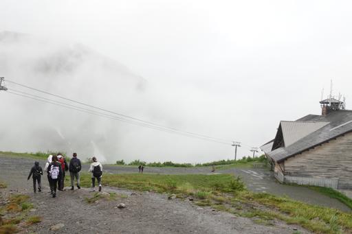 Day 9 - Alaska Wildlife Conservation Center & Alyeska Gondola Ride