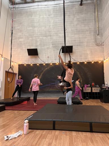 MS Interim - Kinetic Adventures 2025