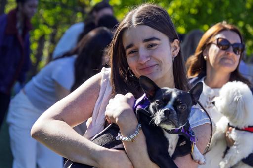 Senior Dog Parade