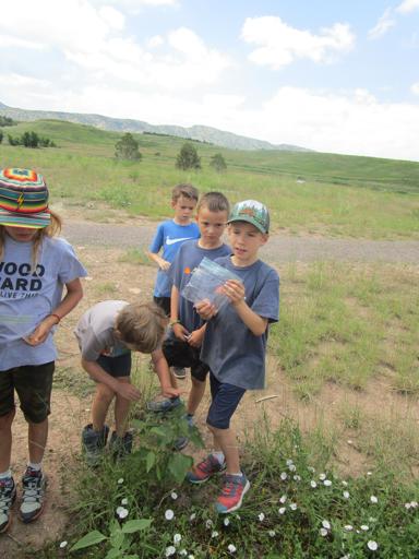 Survival Skills 2nd-4th