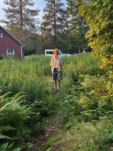 Session 4: August 10 – August 22