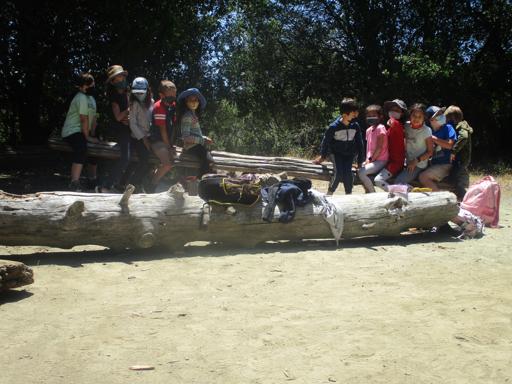 Survival Skills 2nd-4th