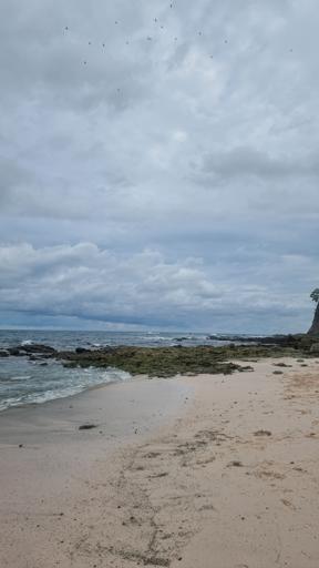 Day 7: Kayaking to an island in the Pacific