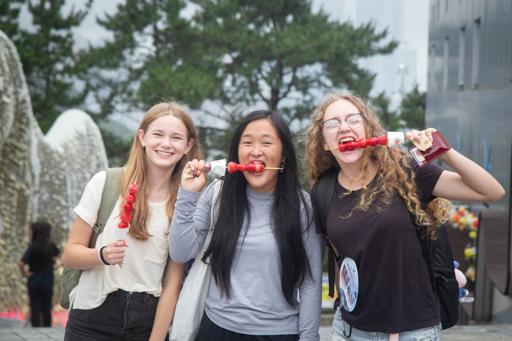 South Korea Discovery & Service (July 15-July 31)