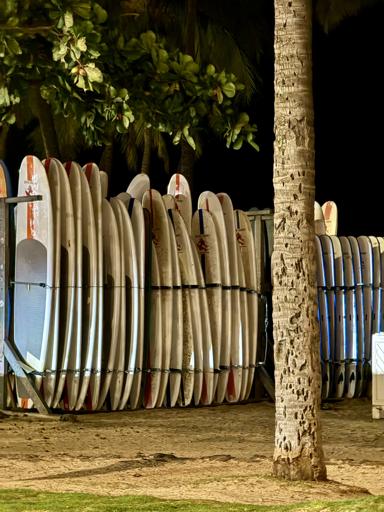 Day - 7 Surfing in Waikiki