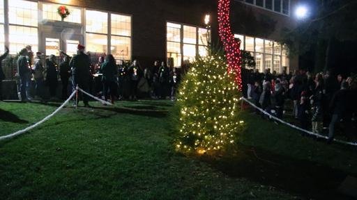 Christmas Tree Lighting