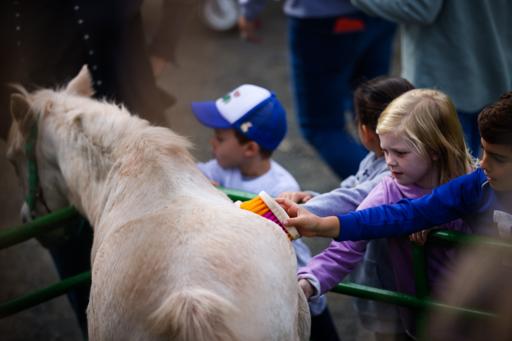 Fall Homecoming 2021