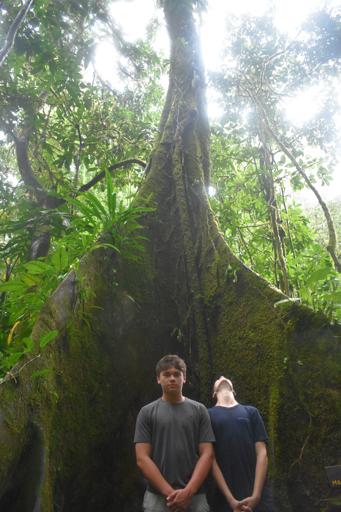 Costa Rica Animal Rescue Service 1 (June 28 - July 19)