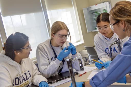 AP Bio Plasmids Lab