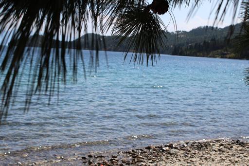 Day 19 - Whitewater rafting and Avalanche Lake