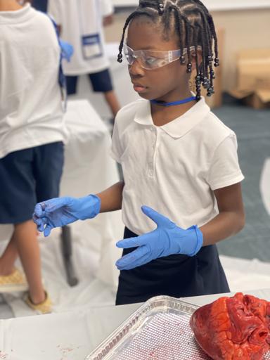 Northwest University