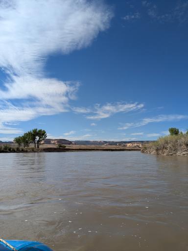 MS Interim - Ride The Rapids 2025