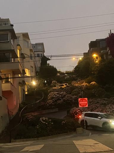 Day 8 - July 30 (Muir Woods, Ghiradelli Square, Goodbye!)