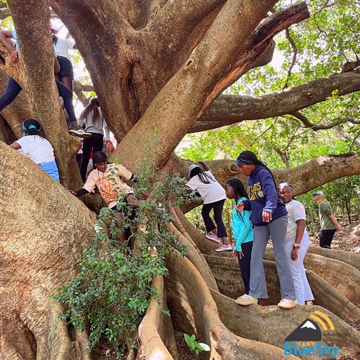 Session 2: 9th - 14 July