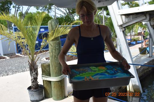 Day 8 - Dolphin Plus - July 25