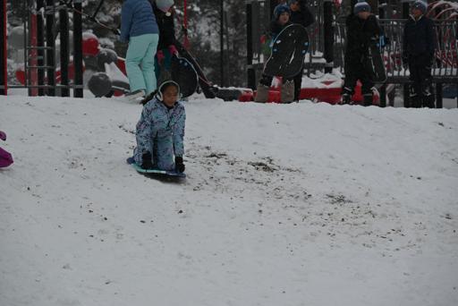 Sledding 12032025