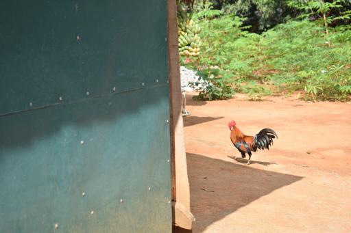 July 15 - Service Day 2 + Homestay