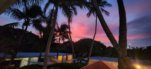 Day 5: 08/05 MarineLab