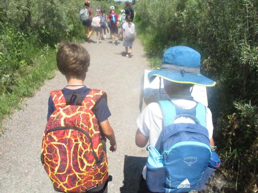 07/10/2023 - 07/21/2023