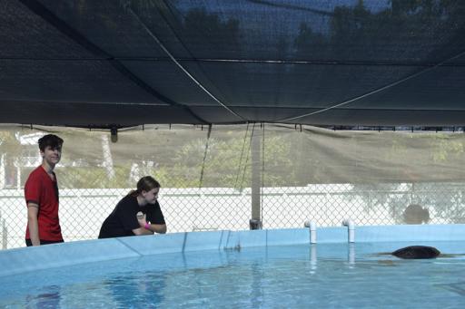 Day 9: 7/7 Marathon & Miami