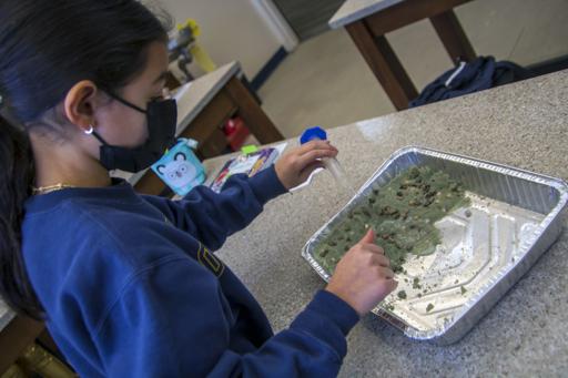 Earth Erosion Project