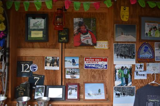 Day 6 - Dog Sledding