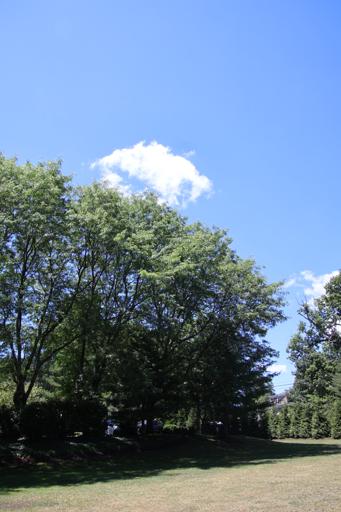 Summer Campus Shots