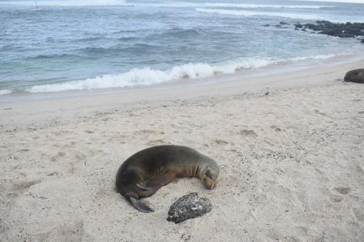 Day 16 - San Cristobal