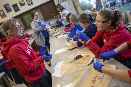 Grade 6 Chicken Dissection