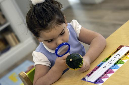 Examining Pumpkins (10.17.24)