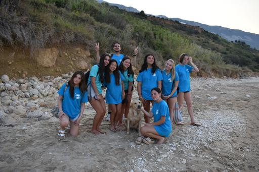 Greece: Sea Turtle Service (July 8-July 20)