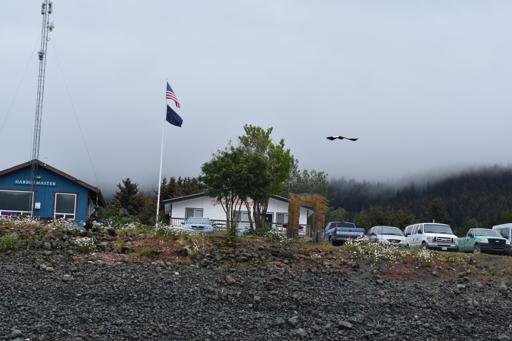 Day 6 - Seldovia Boat Tour