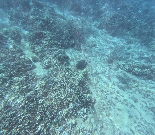 Day 6 - Service and Sand Volleyball 