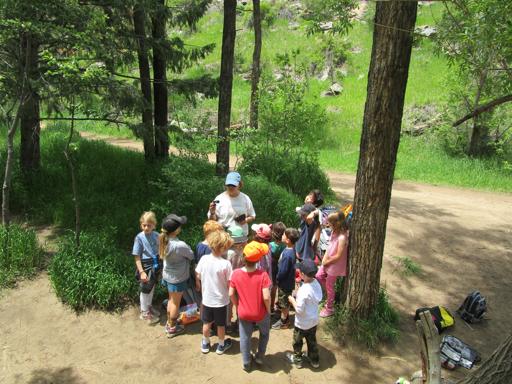 Survival Skills 2nd-4th