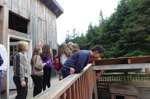 Day 8- Homer to Girdwood to Anchorage & Sled Dogs