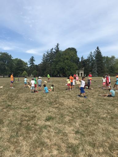 Intermediate Cohort #2