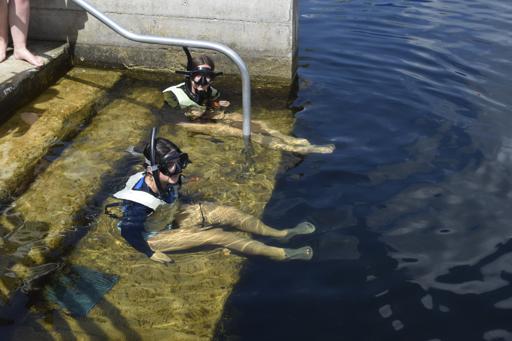 Day 5: 07/25 MarineLab