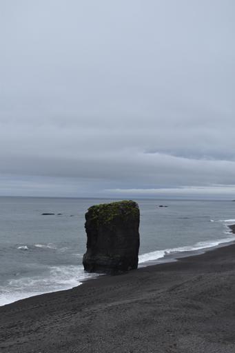 Cows, Horses and big smiles 