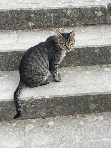 Day 16: Cinque Terre