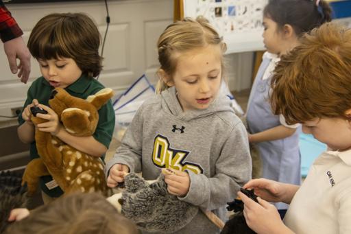 PK Great Swamp On Campus Field Trip