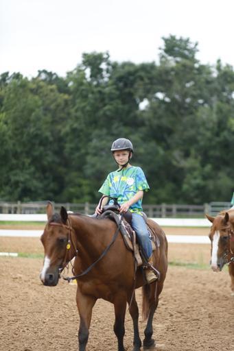 Horse Specialty Show
