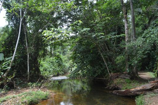 Belize Scuba & Service 2 (July 10 - July 16)