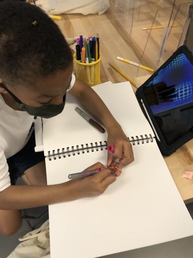 First Grade Highlights