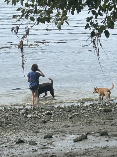 PC: Day Camps 6 (8/12-8/16)