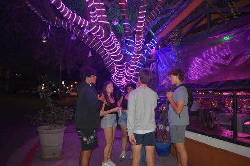 Day 4 - Safari Park, Old Town SD