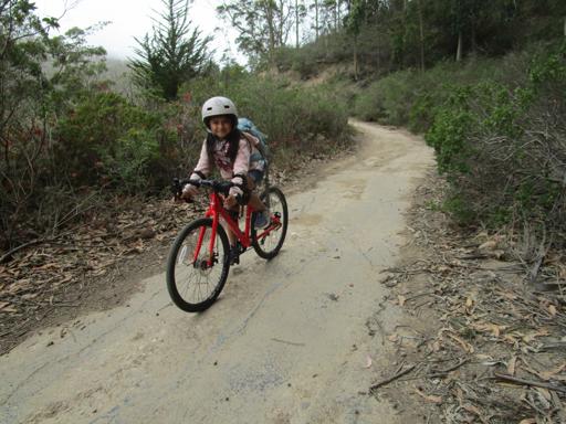 07/19/2021 - 07/23/2021