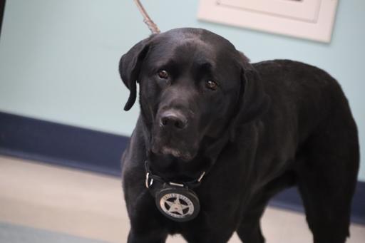US Marshals Visit Forensics Class