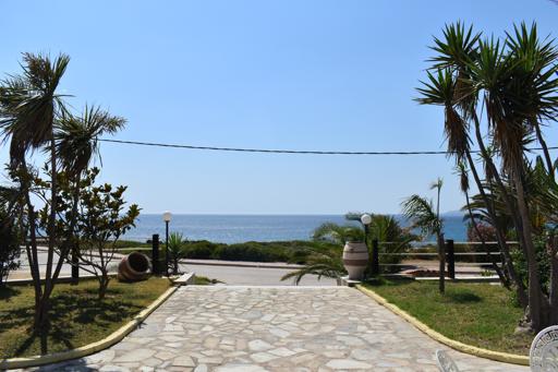 Kelfalonia beach day! 7/10/24