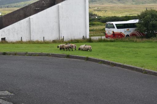 Day 5: Achill Island