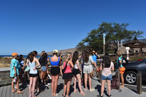 Day 9 Beach Cleanup, Maui Humane Society, Luau!